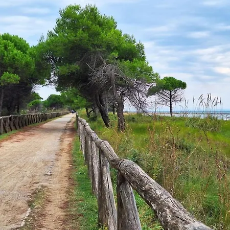 In A Seafront Building-beahost